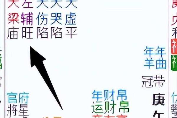 紫微斗数大限紫薇天相