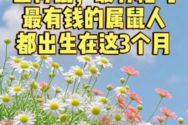 属鼠出生最好六个吉日 属鼠的出生吉日