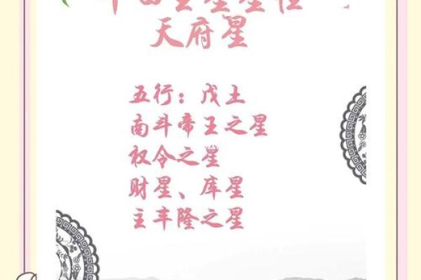紫微斗数密宗 紫微斗数密宗星法？