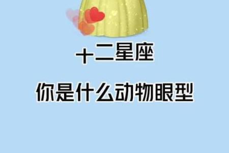 你和小学生对星座的看法一样吗