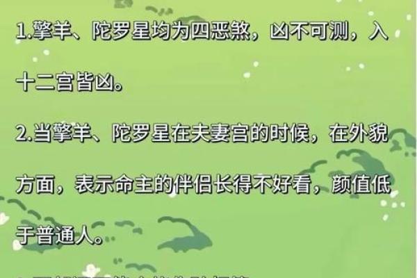 紫微斗数之:流星的看法 紫微斗数之:流星的看法