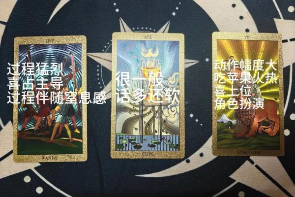 塔罗测试未来谁追你