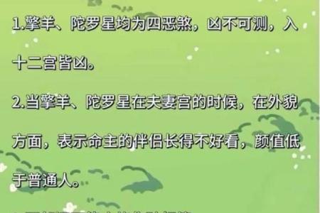 紫微斗数之：流星的看法