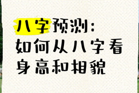 八字看主人长相