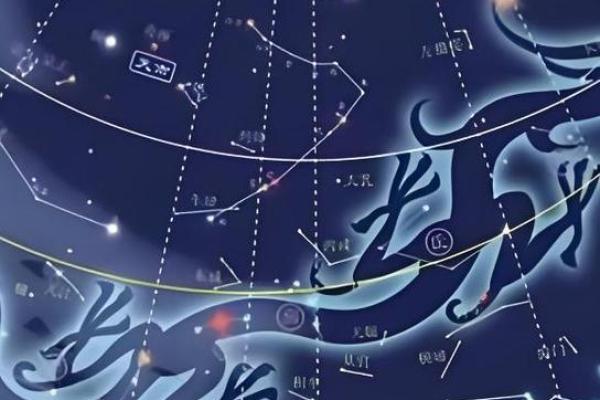 紫薇斗数天罗地网