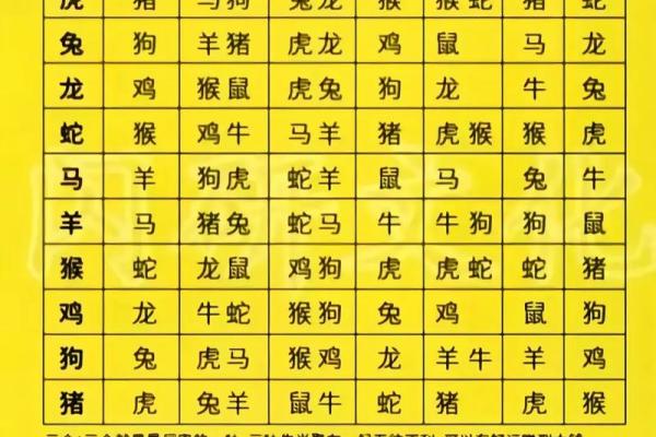 算命每年的
