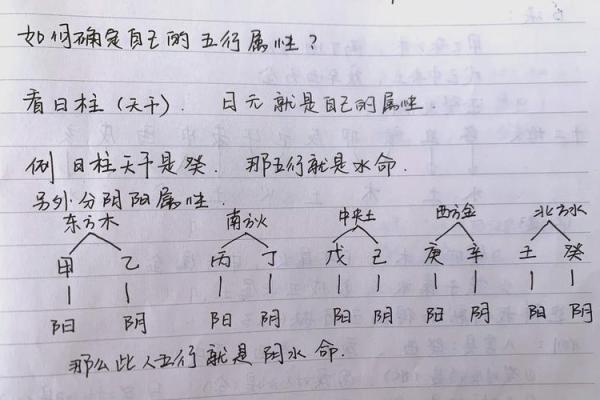 八字算命-2024年春节出生的牛宝宝五行缺什么,命运如何