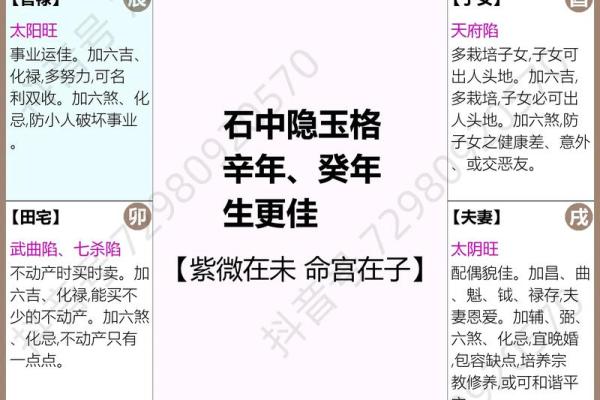 国学研究所紫微斗数记录 紫微星国学？