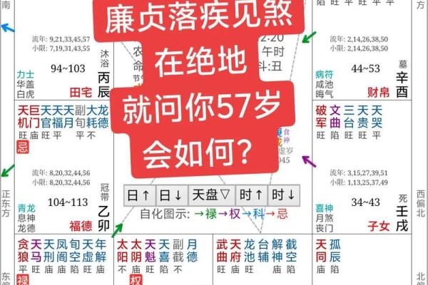 紫薇斗数是什么