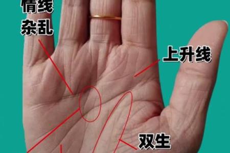 详细分析：手掌中的指纹预测算命，快来算算你的运势如何！