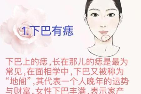 如何从女人下巴面相算命