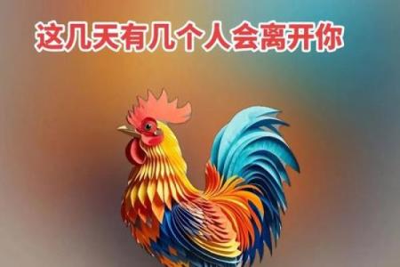 生肖鸡今日运势十二星座