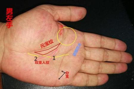 图解：手相中的智慧线算命
