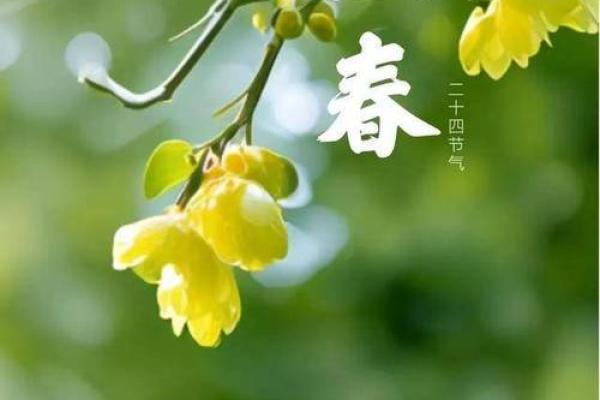 立春 风水