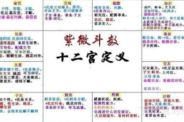 紫薇斗数命宫算法