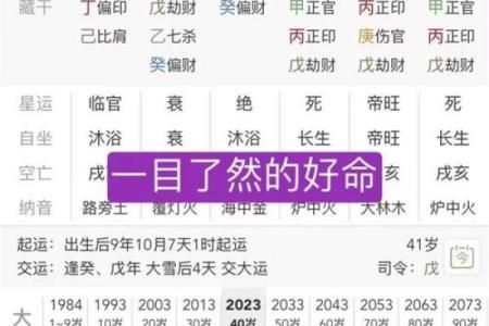 算命说十个八字什么意思
