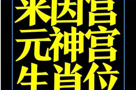 紫薇斗数开车撞人