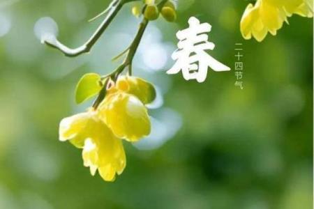 立春 风水