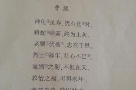八字八行古诗