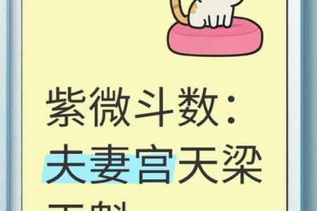 紫薇斗数天梁