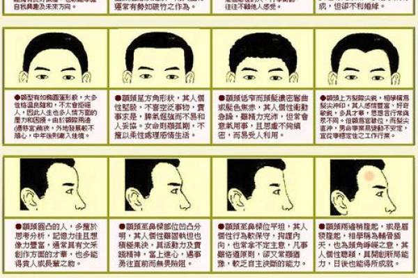 男测脸面相算命图解大全