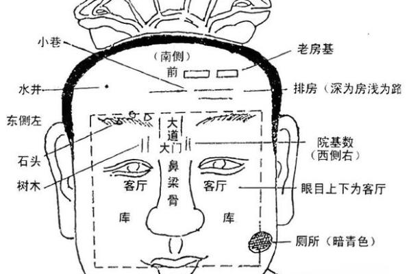 男测脸面相算命图解大全