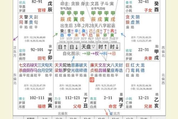 紫薇斗数看文采