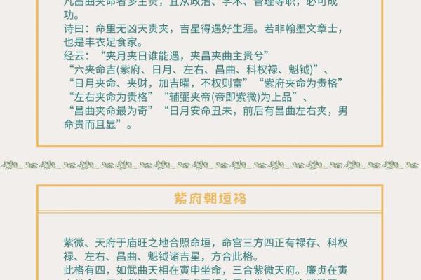 紫微斗数成大事的命格,官禄宫事业领导力强