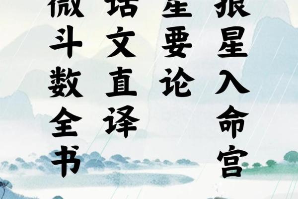 紫微斗数成大事的命格,官禄宫事业领导力强