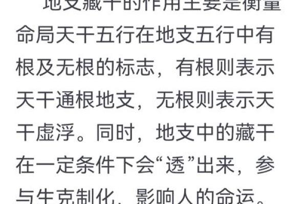 八字-人元（论地支遁藏即地支藏干）