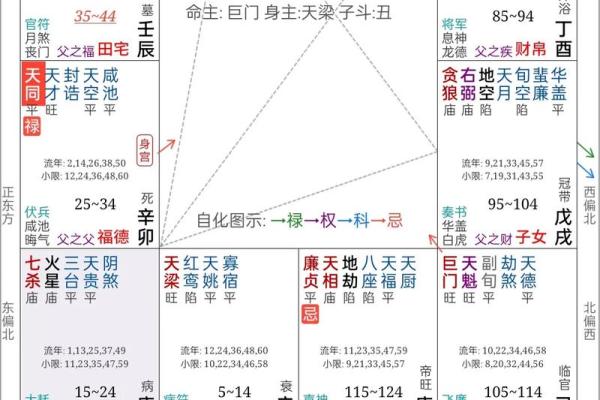 天机紫微斗数app 天机紫微斗数app下载？