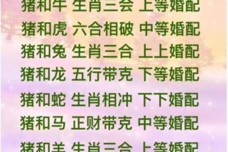 测缘分属马男和属鸡女八字合不合 算配对指数