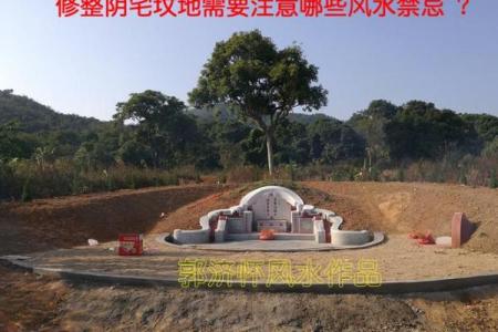 墓地风水坟地里埋什么旺家风水
