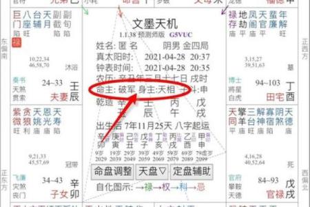 紫薇斗数的身主是什么