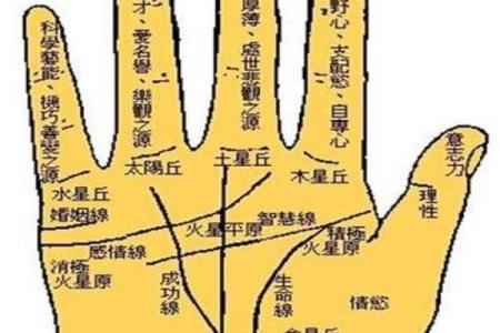 手相图解大全女 右手 算命 手掌红润柔软