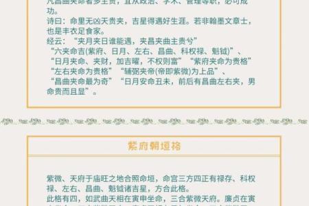 紫微斗数成大事的命格,官禄宫事业领导力强