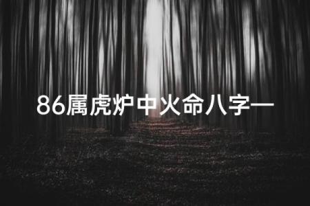属虎的怎样才算八字好命