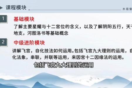 包含紫薇斗数推断实例的词条