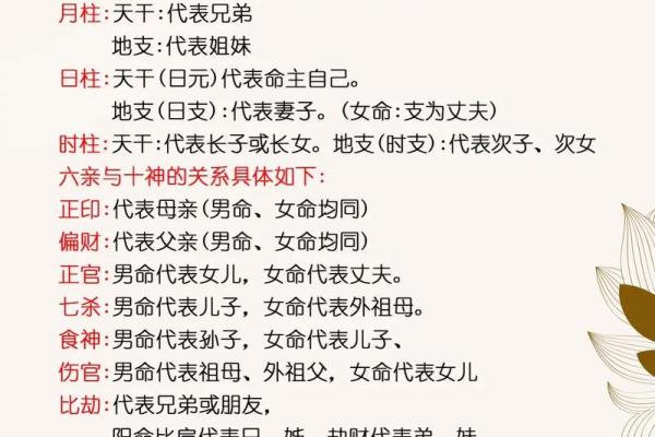 分享到： 八字看你的穿着特点