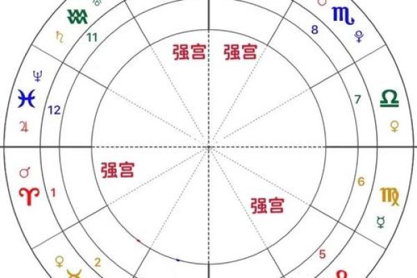 紫薇斗数太岁宫位