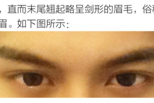 倒八字眉,眉毛上扬将军眉