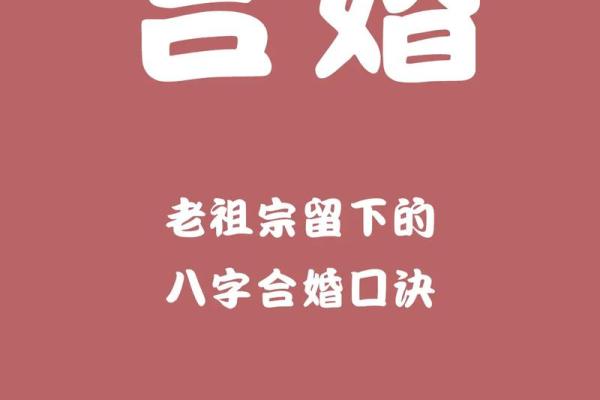 八字看合婚怎么看