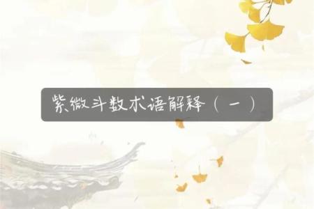 加紫薇斗数术语