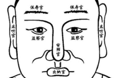 面相算命入门：五行与相貌