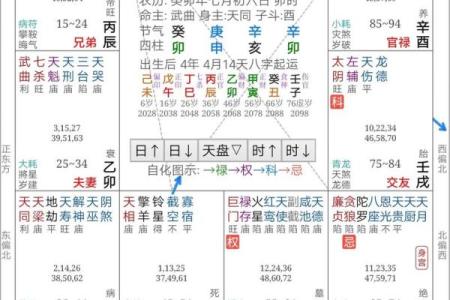 范冰冰紫薇斗数