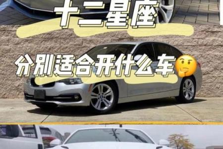 十二星座长大适合开什么车子
