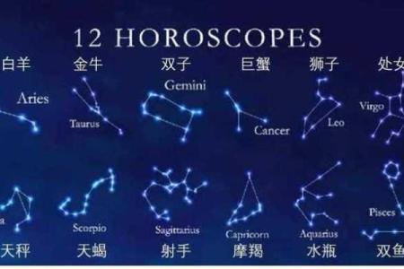 身手敏捷的星座有哪些
