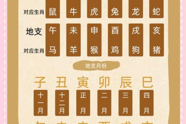 八字命理基础知识八字算命入门
