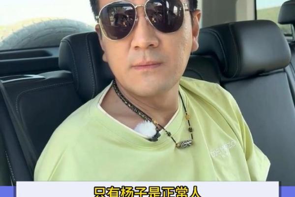 杨子八字