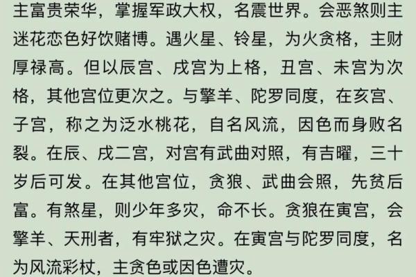 紫微斗数杀破狼 紫微斗数？